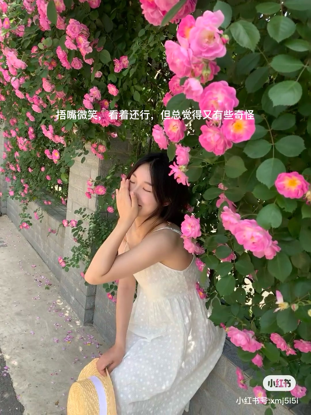 image-20240419075111894